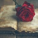 Lost Love Spells